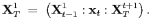 $\displaystyle \mathbf{X}_{T}^{1}\;=\;\left( \mathbf{X}_{t-1}^{1}:\mathbf{x}_{t} :\mathbf{X}_{T}^{t+1}\right) .$