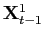 $ \mathbf{X}_{t-1}^{1}$