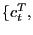 $ \{c_{t}^{T},$