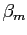 $ \beta_{m}$