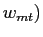$ w_{mt})$