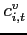 $c_{i,t}^{v}$