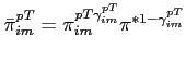 $\bar{\pi}^{pT}_{im}=\pi^{pT\gamma^{pT} _{im}}_{im}\pi^{*1-\gamma^{pT} _{im}}$