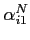 $\alpha_{i1}^N$