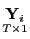$\displaystyle \underset{T\times1}{\mathbf{Y}_{i}}$