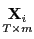 $\displaystyle \underset{T\times m}{\mathbf{X}_{i}}$