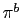 $ \pi^{b}$