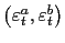 $ \left( \varepsilon_{t} ^{a},\varepsilon_{t}^{b}\right) $