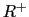 $ {\small R}^{+}$