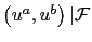 $ \left( u^{a} ,u^{b}\right) \vert\mathcal{F}$