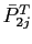 $ \bar{P}_{2j}^{T}$