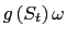 $ g\left( S_{t}\right) \omega$