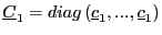 $ \underline{C}_{1}=diag\left( \underline{c}_{1},...,\underline{c}_{1}\right) $