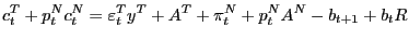 $\displaystyle c_{t}^{T} +p_{t}^{N} c_{t}^{N} =\varepsilon_{t}^{T} y^{T}+A^{T} +\pi_{t}^{N} +p_{t}^{N} A^{N}-b_{t+1} +b_{t} R$