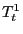 $ T_{t}^{1}$