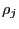 $ \rho_{j}$