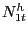 $ N^{h}_{1t}$