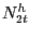 $ N^{h}_{2t}$