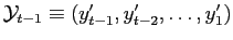 $ \mathcal{Y}_{t-1}\equiv(y_{t-1}^{\prime},y_{t-2}^{\prime} ,\ldots,y_{1}^{\prime})$