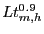 $ Lt_{m,h}^{0.9}$