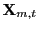 $ \mathbf{X}_{m,t}$