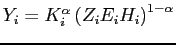 $ Y_{i}=K_{i}^{\alpha}\left( Z_{i}E_{i}H_{i}\right) ^{1-\alpha}$