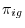 \pi _{ig} 