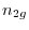 n_{2g} 
