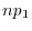 np_1 