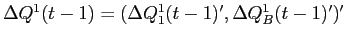  \Delta Q^{1}(t-1) =(\Delta Q^{1}_{1}(t-1)',\Delta Q^{1}_{B}(t-1)')'
