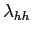 $\displaystyle \lambda_{hh}$