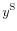 \displaystyle y^{\mathrm{S}}