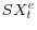 SX_t^e 