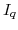  I_{q}