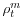  \rho _{t}^{m}