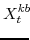\displaystyle X^{kb}_{t}\! 