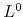  L^{0}