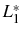  L_{1}^{\ast}