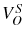  V_{O}^{S}
