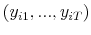  (y_{i1},...,y_{iT})