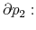  \partial p_{2}: