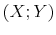  (X;Y)