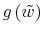  g\left( \tilde{w}\right) 