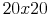  20x20