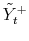  \tilde{Y}_{t}^{+}