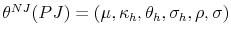  \theta^{NJ}(PJ)=(\mu,\kappa_{h},\theta_{h},\sigma_{h},\rho,\sigma)