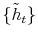  \{\tilde{h}% _{t}\}