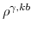  \rho^{\gamma,kb}