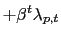 $\displaystyle +\beta^{t}\lambda_{p,t}$