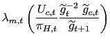 $\displaystyle \lambda_{m,t}\left( \frac{U_{c,t}}{\pi_{H,t}}\frac{\widetilde{g}_{t}^{-2}\text{ }\widetilde {g}_{c,t}}{\widetilde{g}_{t+1}}\right)$